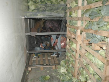Zeci de migranţi din Irak, Afganistan şi Siria, găsiţi într-un TIR cu varză